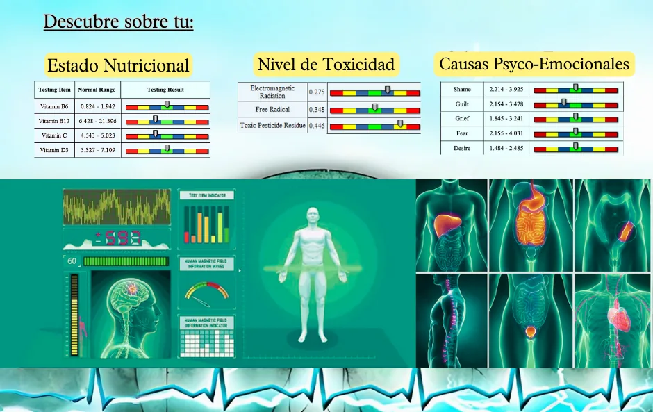 Sample healthy resonance report: nutritional status, toxicity level and psycho-emotional causes